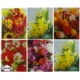 Torebki - mix kwiatowy - 22cmx18cm TP26 12szt/op