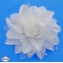 Spinka edytka - biały kwiat - długość: 10cm