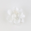Spinki edytki białe z kwiatkami 5szt/op OS1455