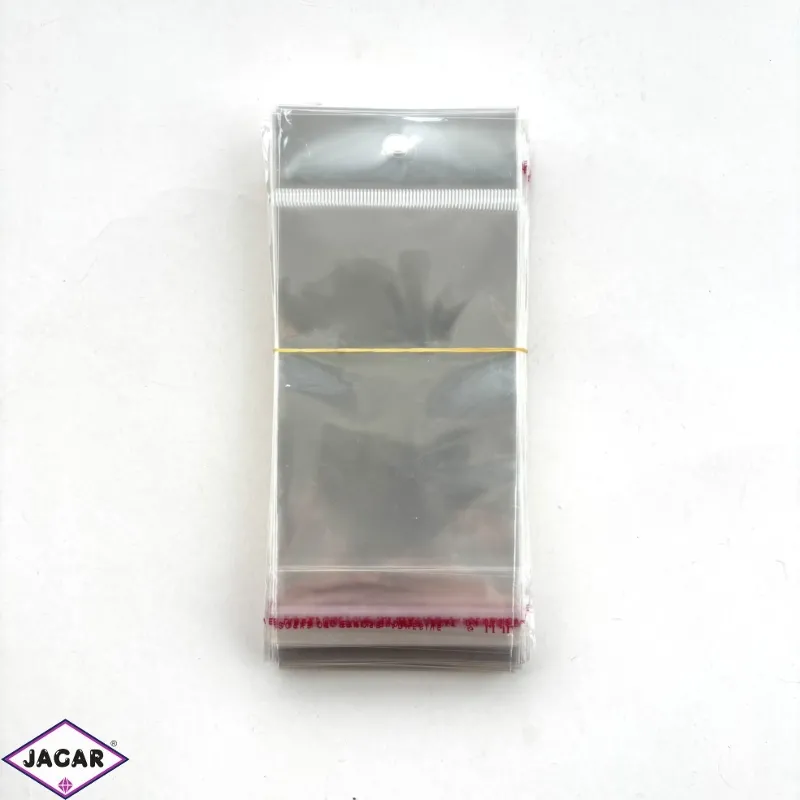 Woreczki foliowe 18x8cm 100szt/op WF02 Woreczki foliowe 18x8cm 100szt/op WF02