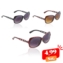 Okulary Paparazzi muchy - V939 - 12szt/op