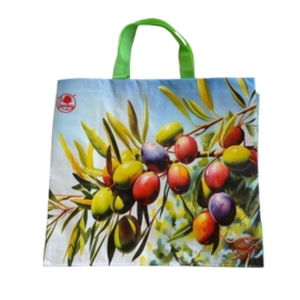 Torba ekologiczna 45x40 GREENBAG TZ346