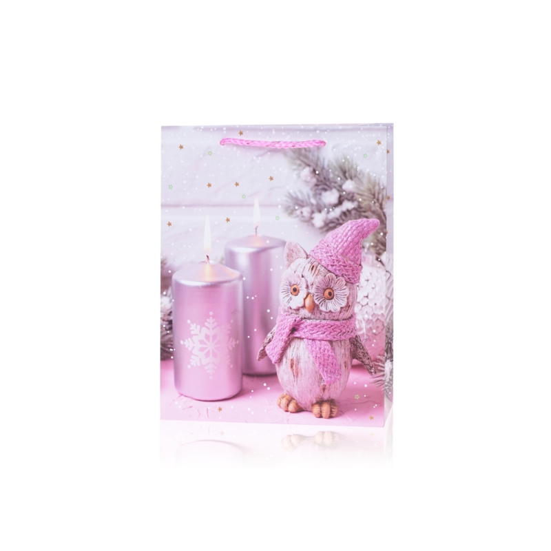 Torebki prezentowe świąteczne 23x18cm 12szt TP587 Torebki prezentowe świąteczne 23x18cm 12szt TP587